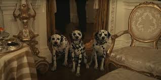In that tradition, disney's upcoming movie, cruella, explores the origins of one of their cruella de vil is an instantly recognizable character, whether you are a big disney fan or not, and there is a lot of. Peta Calls For Disney To Promote Pet Adoption Message After Cruella Trailer Cinemablend