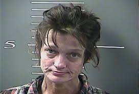 Shannon Goble's Instagram, Twitter & Facebook