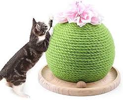 You really can do what ever you would like to do here. Amazon Com Mogoi Cactus Cat Scratcher Cute Sisal Cat Scratching Post With Funny Ball Circle Track Wit Cat Scratching Post Cat Pet Supplies Diy Cat Scratcher