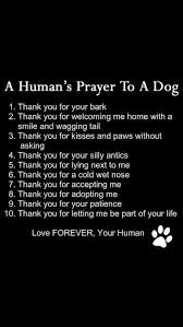 Pin By Bobbi Price On Loving Animals Bring Us Smiles Dog Poems Dogs Dog Quotes