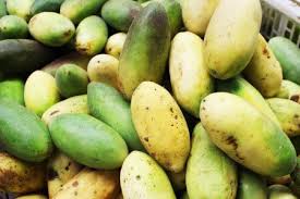 Curuba Colombie Fruits Exotiques Fruit Exotique Vert Fruits