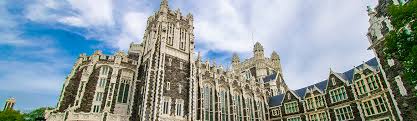 Image result for professor who teaches course 61156 ccny
