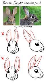 How to draw a bunny head advertisement step 1 draw an oval—this will be the forehead. Tutorial How To Draw Rabbit Ears Thornwolf The Art Of Nicole Dornsife