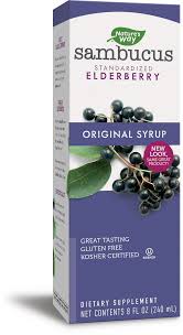 Elderberry syrup has been used for hundreds of years as a folk remedy for the common cold and flu. Nature S Way Original Sambucus Standardized Elderberry Syrup 4 Oz Walmart Com Walmart Com