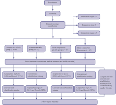 Acupuncture Regulation Promotes Functional Recovery In