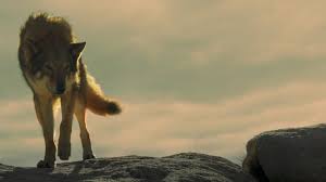 Alpha 2018 Peliculas En Linea Gratis Cine Peliculas Completas