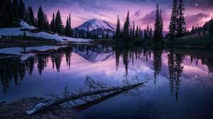 Check spelling or type a new query. 4k Nature Night 3840x2160 Download Hd Wallpaper Wallpapertip