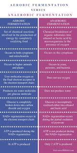 Difference Between Aerobic And Anaerobic Fermentation Pediaa Com Biology Facts Teaching Biology Study Biology