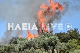 Φωτιά σε εργοστασιο επίπλων στην ευκαρπία από το ωραιόκαστρο 28/3/2013. Fwtia Ston Pyrgo Kaiei Dasikh Ektash Eidhseis Nea To Bhma Online