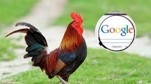 Stream sonido de gallo en el traductor de google by tvn on desktop and mobile. Moi Pe 9urtzpm