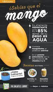 Beneficios Del Mango Applied Nutrition Health Food Healthy Benefits