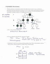 Savesave pedigree worksheet answer key for later. Pdf Pedigree Worksheet Vnd5pw0vjglx Math Exercises For Grade Printable Problems 1st Pre K Homework Sheets Seasons Kindergarten Free Preschoolers Alphabets 2nd Fluency Sample Expense Spreadsheet Calamityjanetheshow