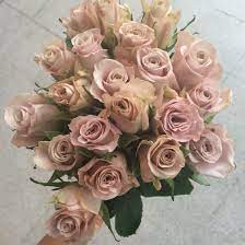 Cappuccino Roses Roses Flowers Florist Valentines Flowers Rose Varieties Pretty Flowers
