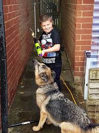 Crowdfunding To Help Pay For Ozzy To Have Surgery To Resolve His Wobblers Syndrome On Justgiving