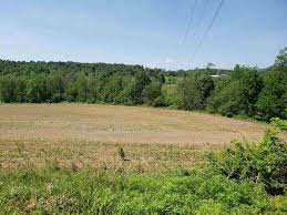 Visit realtor.com® and browse house. Mount Solon Va Real Estate Homes For Sale Trulia