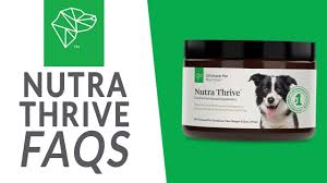 Richter has recently authored a book titled, the ultimate pet health guide: How To Use Nutra Thrive Ultimate Pet Nutrition Youtube