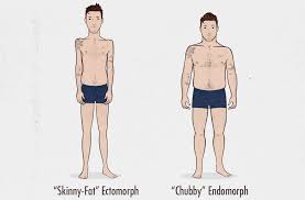 The Male Body Types Ectomorph Endomorph Mesomorph An introduction to male body types. ectomorph endomorph mesomorph