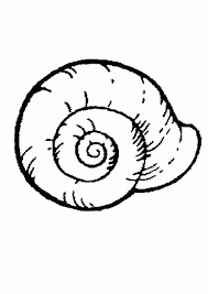 Sea Shell Coloring Page Best Of Sea Snail Coloring Pages Hellokids Coloring Pages Animal Coloring Pages Mermaid Coloring Pages