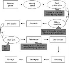 1 Haccp Flow Diagram Of Processing Fort Valley State