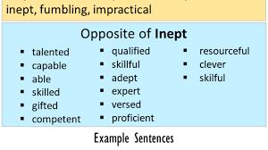 Lacking in fitness or aptitude : Opposite Of Inept Antonyms Of Inept Meaning And Example Sentences English Grammar Here