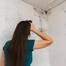 Wir sind mieter eines hauses mit angrenzender garage. Anti Schimmel Farbe Test Bzw Vergleich 2021 Computer Bild