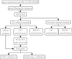 Cd36 Identified By Weighted Gene Co Expression Network