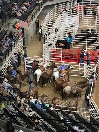 San Antonio Stock Show Rodeo 2019 All You Need To Know