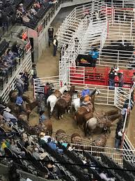 san antonio stock show rodeo 2019 all you need to know