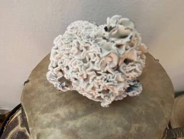 Enigma mutation showing its distinctive coral-like brain growth pattern, AI generated