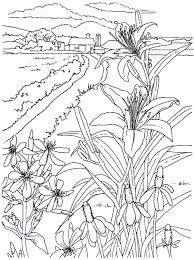 Dogs love to chew on bones, run and fetch balls, and find more time to play! Corn Stalks And Farm Fields Living In The Country Coloring Book Page Coloring Pages Coloring Books Coloring Pictures Coloring Home