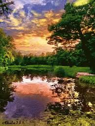 Share the best gifs now >>> Nature Gif Nature Discover Share Gifs