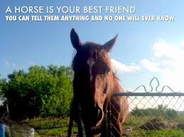 Rodeo Sayings By Morgan Rinestine