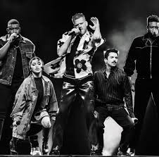 Image result for Olax pentandra