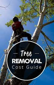 Pin On Tree Removal