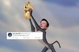 It came as dogecoin continued to fall after the technology. Elon Musk S Obsession With Dogecoin Has Skyrocketed Cryptocurrency Market Price Memes