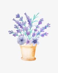 | view 1,000 purple flower illustration, images and graphics from +50,000 possibilities. Beautiful Lavender Lavender Purple Flower Png Transparent Clipart Image And Psd File For Free Download Free Watercolor Flowers Flower Png Images Flower Illustration