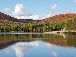 Bienvenue au Camping du Domaine Lausanne