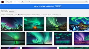 Assets types include photos, vectors, illustrations, templates, 3d assets, videos, motion graphics templates, and audio tracks. How To Create A Mobile Image Gallery Adobe Stocki Juhised