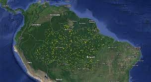 Ahorra en productos reacondicionados con amazon renewed. Airborne Laser Scanning Of Gaps In Amazon Rainforest Helps Explain Tree Mortality Eurekalert Science News