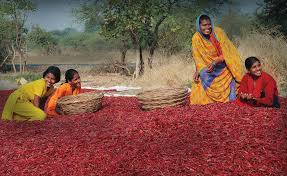Aceleración mundial de las medidas para pro- mover la salud de los  adolescentes (Guía AA-HA!)