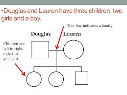 Pedigrees Following Traits In Families Pedigree A Diagram