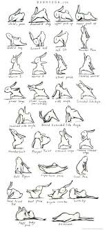 Happy Easter From Starr Struck Bunny Yoga Bunny Yoga Yoga Asanas Yoga Routine