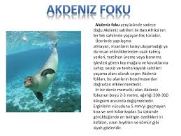 Nesli Tukenen Canlilar