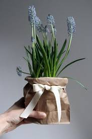Diy Avec Des Sacs En Papier Plant Gifts Garden Gifts Christmas Plants