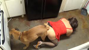 Fucked by dog - Best adult videos and photos