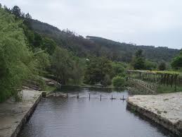 Listen)), often erroneously written castanheira de pêra, is a municipality in the district of leiria in portugal. Bolo Castanheira De Pera Home Facebook