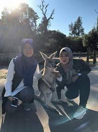 Pada bulan agustus misalnya, coba kunjungi pertandingan rugby the bledisloe cup atau cricket di optus stadium menjelang tahun baru nanti. Musim Di Perth Aus Pakej Percutian Murah Kaki Travel Facebook