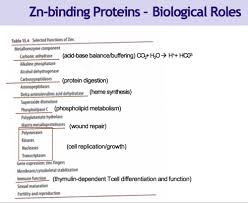 Zinc Flashcards Quizlet