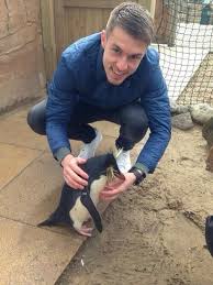 Does Danny Welbeck Have A Better Haircut Than Aaron Ramsey Le Grove The Arsenal Opinion Blog