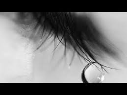 You can share a whatsapp kannada love status video that you can download and post it on your status and make it visible to you love ones. Love Feeling Song In Kannada For Whatsapp Status Dont Miss It Feeling Song Miss You Status In Kannada